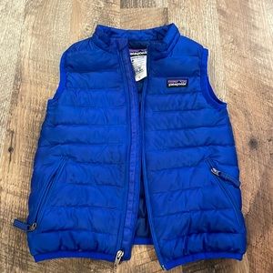 3T cobalt blue Patagonia vest